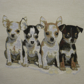 Gobelín panel - čivava 45x45cm