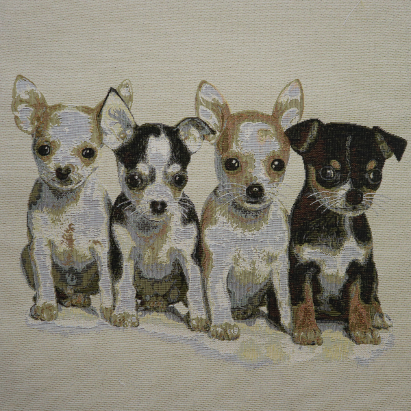 Gobelín panel - čivava 45x45cm