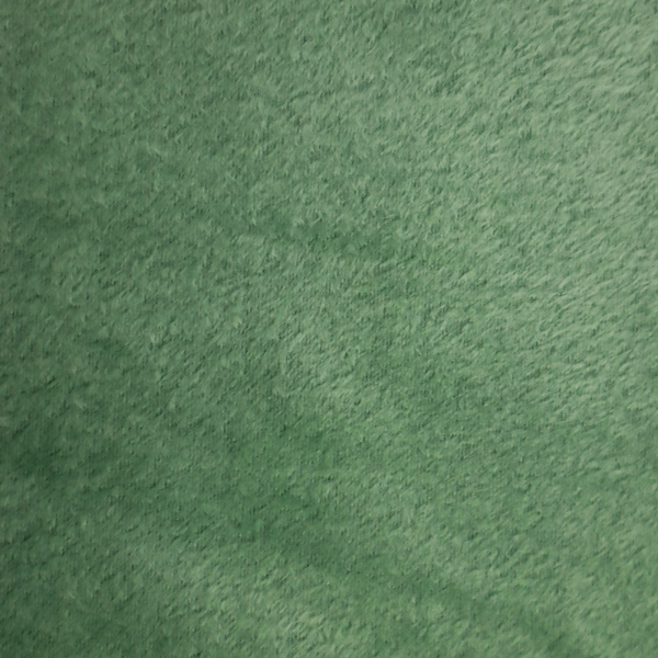 Nicki fleece green