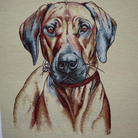 Gobelín panel - rhodézsky ridgeback 45x45cm