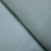 Fleece Micropolar mint