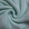 Fleece Micropolar mint